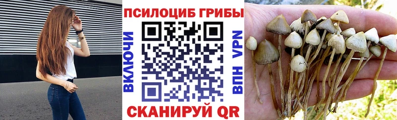 Галлюциногенные грибы GOLDEN TEACHER  Валдай 